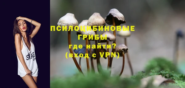 ПСИЛОЦИБИНОВЫЕ ГРИБЫ Коряжма