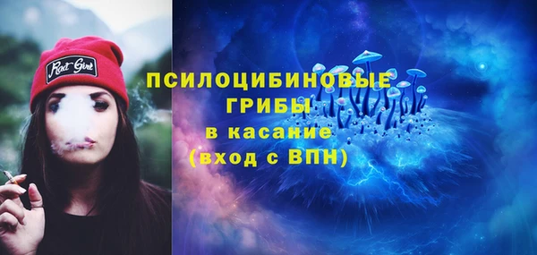 экстази Козельск